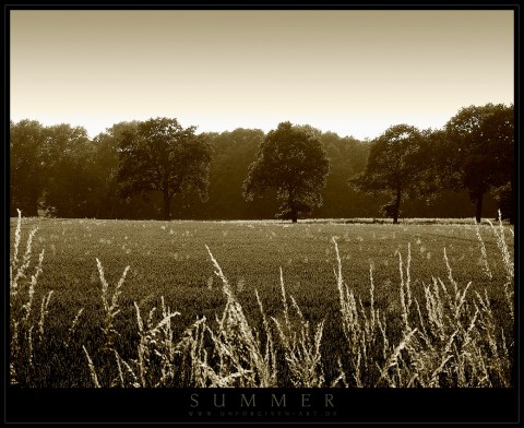 summer