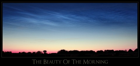 the.beauty.of.the.morning