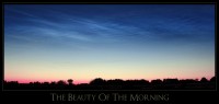 the.beauty.of.the.morning